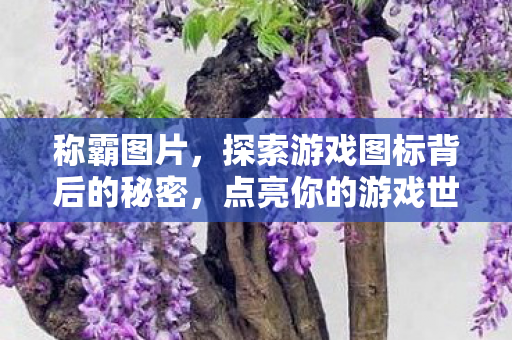 称霸图片,探索游戏图标背后的秘密,点亮你的游戏世界 称霸图片,探索游戏图标背后的秘密,点亮你的游戏世界