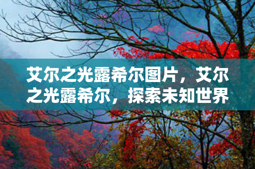 艾尔之光露希尔图片，艾尔之光露希尔，探索未知世界的奇幻之旅