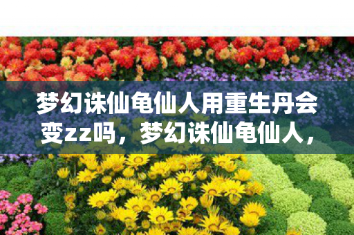 梦幻诛仙龟仙人用重生丹会变zz吗，梦幻诛仙龟仙人，传奇再现，经典永存