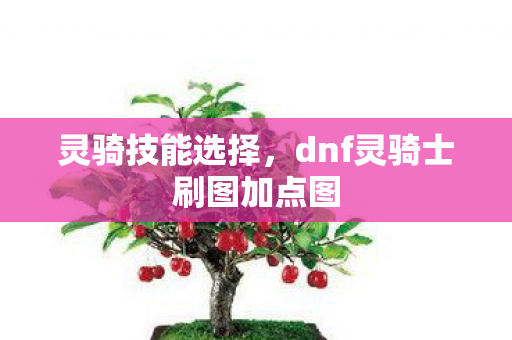 灵骑技能选择，dnf灵骑士刷图加点图