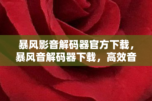 暴风影音解码器官方下载，暴风音解码器下载，高效音频解码，畅享音乐盛宴
