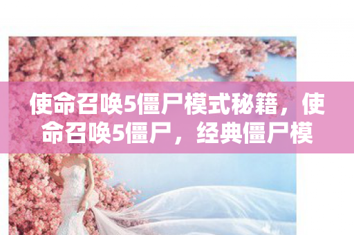 使命召唤5僵尸模式秘籍,使命召唤5僵尸,经典僵尸模式再续传奇 使命召唤5僵尸模式秘籍,使命召唤5僵尸,经典僵尸模式再续传奇