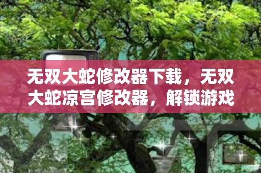 无双大蛇修改器下载,无双大蛇凉宫修改器,解锁游戏新境界的利器 无双大蛇修改器下载,无双大蛇凉宫修改器,解锁游戏新境界的利器
