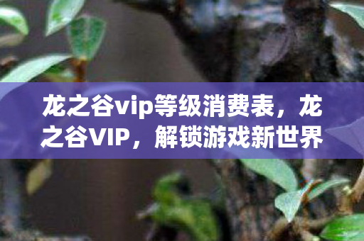 龙之谷vip等级消费表，龙之谷VIP，解锁游戏新世界的钥匙