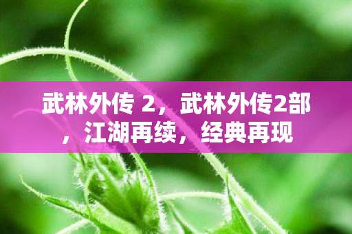 武林外传 2,武林外传2部,江湖再续,经典再现 武林外传 2,武林外传2部,江湖再续,经典再现