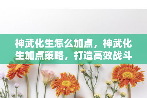 神武化生怎么加点,神武化生加点策略,打造高效战斗力的关键 神武化生怎么加点,神武化生加点策略,打造高效战斗力的关键