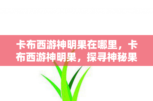 卡布西游神明果在哪里,卡布西游神明果,探寻神秘果树的奥秘 卡布西游神明果在哪里,卡布西游神明果,探寻神秘果树的奥秘