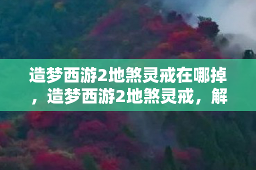 造梦西游2地煞灵戒在哪掉，造梦西游2地煞灵戒，解锁神秘力量的关键