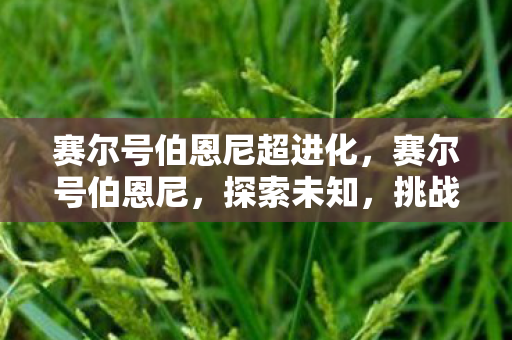 赛尔号伯恩尼超进化，赛尔号伯恩尼，探索未知，挑战极限