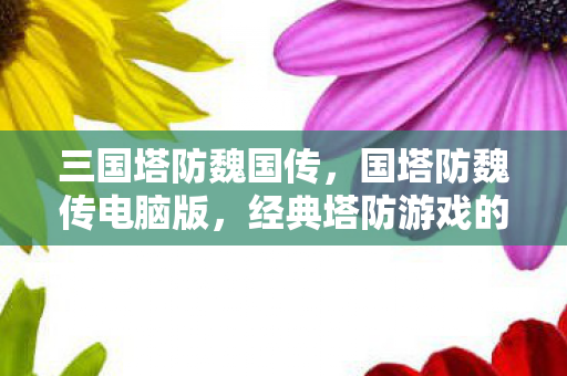三国塔防魏国传，国塔防魏传电脑版，经典塔防游戏的数字化重生
