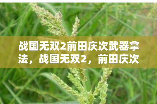 战国无双2前田庆次武器拿法,战国无双2,前田庆次的传奇之路 战国无双2前田庆次武器拿法,战国无双2,前田庆次的传奇之路