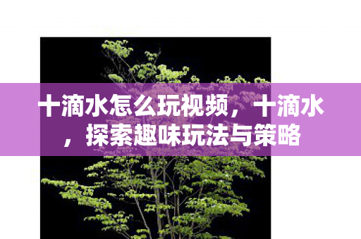 十滴水怎么玩视频，十滴水，探索趣味玩法与策略