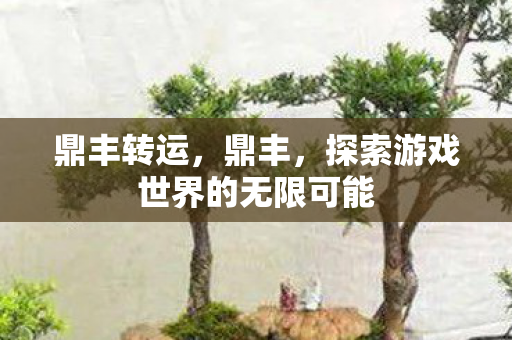 鼎丰转运,鼎丰,探索游戏世界的无限可能 鼎丰转运,鼎丰,探索游戏世界的无限可能