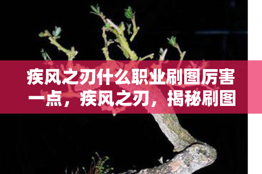 疾风之刃什么职业刷图厉害一点，疾风之刃，揭秘刷图效率最高的职业