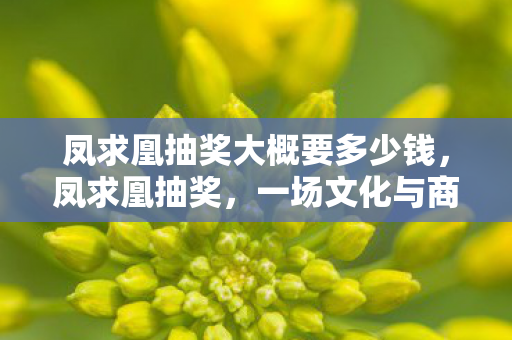 凤求凰抽奖大概要多少钱,凤求凰抽奖,一场文化与商业的华丽邂逅 凤求凰抽奖大概要多少钱,凤求凰抽奖,一场文化与商业的华丽邂逅
