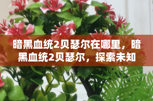 暗黑血统2贝瑟尔在哪里，暗黑血统2贝瑟尔，探索未知世界的奇幻之旅