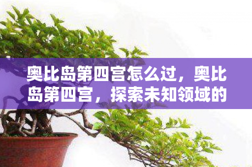 奥比岛第四宫怎么过，奥比岛第四宫，探索未知领域的奇幻之旅