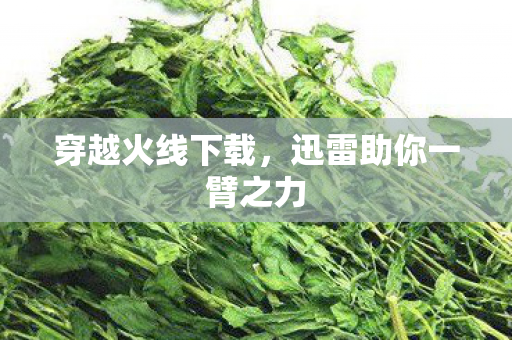 穿越火线下载，迅雷助你一臂之力