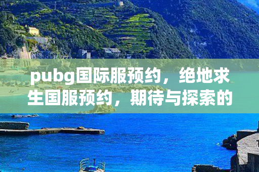 pubg国际服预约，绝地求生国服预约，期待与探索的旅程