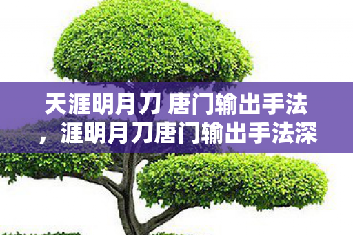 天涯明月刀 唐门输出手法，涯明月刀唐门输出手法深度解析