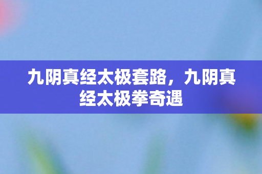 九阴真经太极套路，九阴真经太极拳奇遇