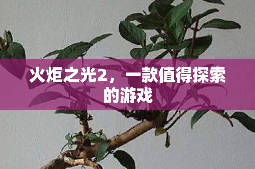 火炬之光2，一款值得探索的游戏