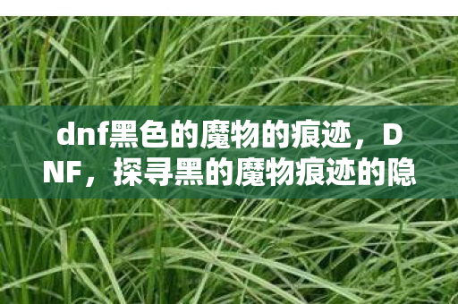 dnf黑色的魔物的痕迹,DNF,探寻黑的魔物痕迹的隐秘所在 dnf黑色的魔物的痕迹,DNF,探寻黑的魔物痕迹的隐秘所在