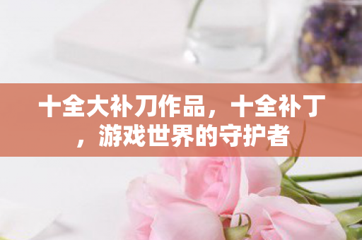 十全大补刀作品，十全补丁，游戏世界的守护者