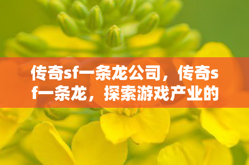 传奇sf一条龙公司,传奇sf一条龙,探索游戏产业的新模式 传奇sf一条龙公司,传奇sf一条龙,探索游戏产业的新模式