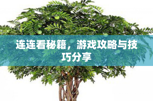连连看秘籍，游戏攻略与技巧分享