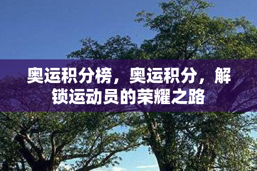 奥运积分榜，奥运积分，解锁运动员的荣耀之路