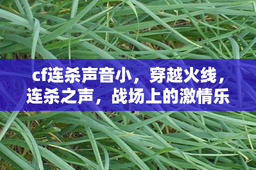 cf连杀声音小，穿越火线，连杀之声，战场上的激情乐章
