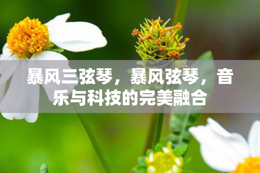 暴风三弦琴，暴风弦琴，音乐与科技的完美融合
