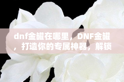 dnf金罐在哪里，DNF金罐，打造你的专属神器，解锁游戏新境界