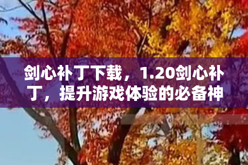 剑心补丁下载，1.20剑心补丁，提升游戏体验的必备神器