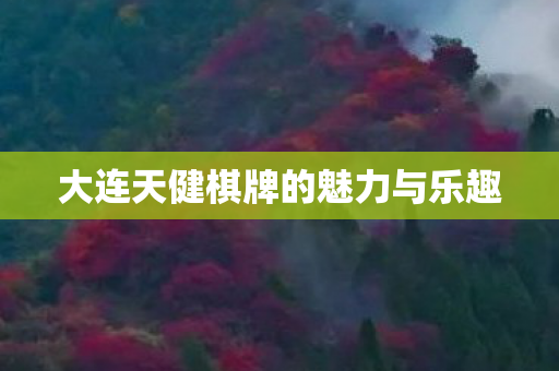 大连天健棋牌的魅力与乐趣 大连天健棋牌的魅力与乐趣