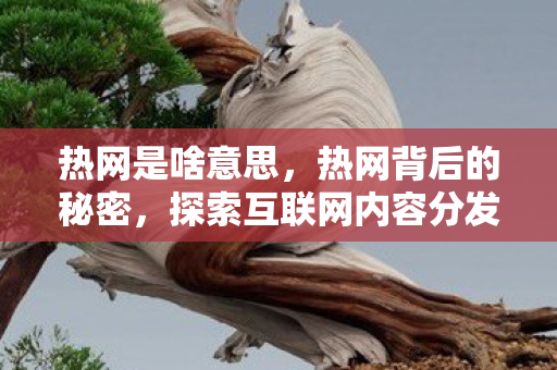 热网是啥意思，热网背后的秘密，探索互联网内容分发的新时代