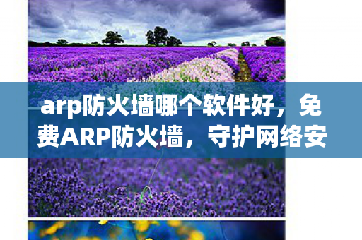 arp防火墙哪个软件好，免费ARP防火墙，守护网络安全的重要防线