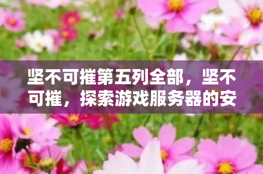 坚不可摧第五列全部,坚不可摧,探索游戏服务器的安全防线与合规运营 坚不可摧第五列全部,坚不可摧,探索游戏服务器的安全防线与合规运营