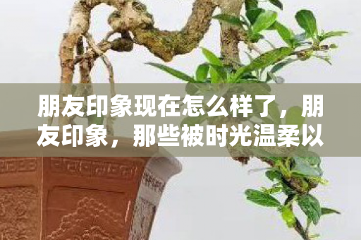 朋友印象现在怎么样了,朋友印象,那些被时光温柔以待的友情 朋友印象现在怎么样了,朋友印象,那些被时光温柔以待的友情