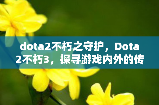dota2不朽之守护，Dota2不朽3，探寻游戏内外的传奇故事