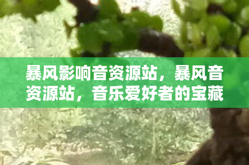 暴风影响音资源站,暴风音资源站,音乐爱好者的宝藏之地 暴风影响音资源站,暴风音资源站,音乐爱好者的宝藏之地