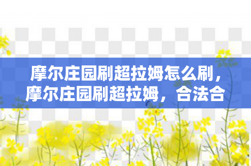 摩尔庄园刷超拉姆怎么刷,摩尔庄园刷超拉姆,合法合规的玩法攻略 摩尔庄园刷超拉姆怎么刷,摩尔庄园刷超拉姆,合法合规的玩法攻略