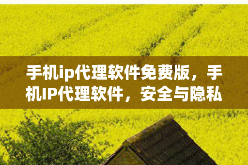手机ip代理软件免费版,手机IP代理软件,安全与隐私的守护者 手机ip代理软件免费版,手机IP代理软件,安全与隐私的守护者