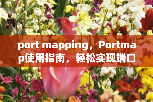 port mapping,Portmap使用指南,轻松实现端口转发 port mapping,Portmap使用指南,轻松实现端口转发