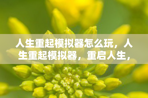 人生重起模拟器怎么玩，人生重起模拟器，重启人生，重塑自我