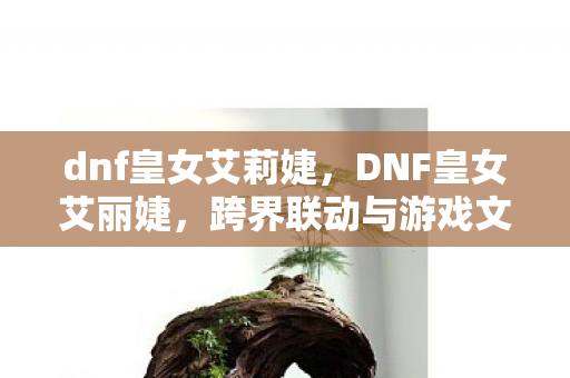 dnf皇女艾莉婕，DNF皇女艾丽婕，跨界联动与游戏文化的深度探索
