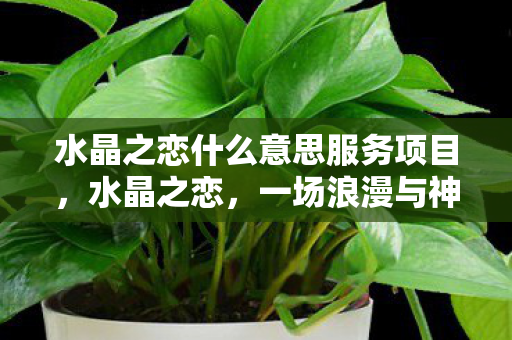 水晶之恋什么意思服务项目，水晶之恋，一场浪漫与神秘的约会