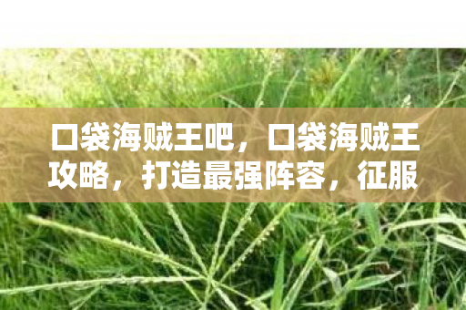 口袋海贼王吧，口袋海贼王攻略，打造最强阵容，征服大海