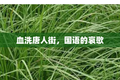 血洗唐人街，国语的哀歌